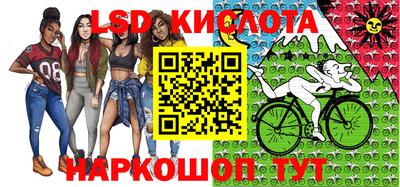 молекула духа Кулебаки