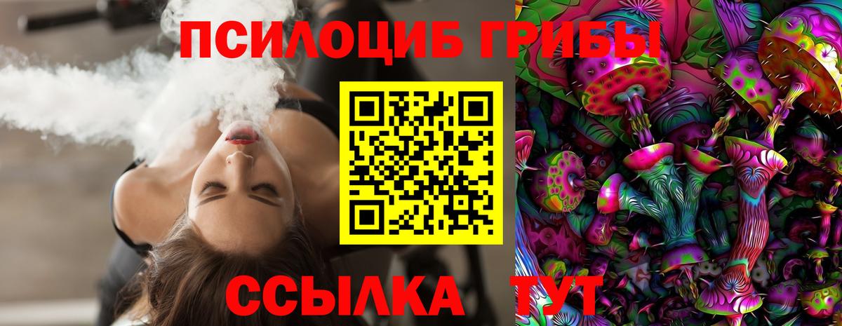Псилоцибиновые грибы мицелий  Вход с VPN  Донской 